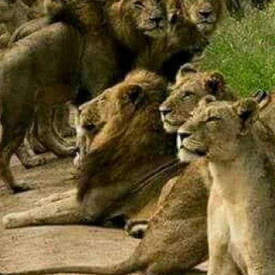 Ntare School Old Boy
Head teacher Kabale SS
