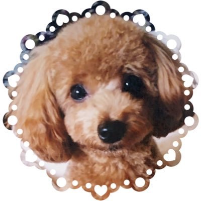 qphmama's profile picture. 観劇が趣味の主婦で、会社員。若い頃は宝塚歌劇にどっぷり。最近は、娘に連れられて2.5次元舞台にも。
今一番のお気に入りは中村誠治郎さん。