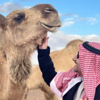 عبدالله بن عودة الغبين (@alghobainao) 's Twitter Profile