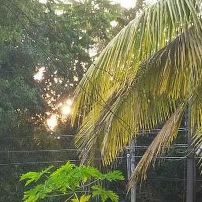 Harishanka82734's profile picture. 