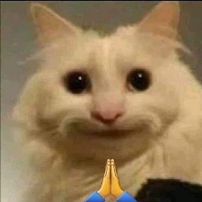 shanhuny's profile picture. 