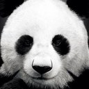 PAM BUSTER - @BUSTERBUNCH - Twitter