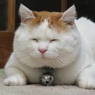 cKIUl0kvfK1cQcW's profile picture. 