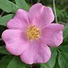 eggleston_anita's profile picture. God ✝️,Family,Freedom loving North American Conservative 🇨🇦🇺🇸 ❤️‍🔥Pro life 💥TRUMP fan!💥. 🚫no porn, cams, crypto 🚫DMs🚫Trains!