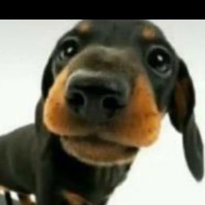 Bahさんのプロフィール画像