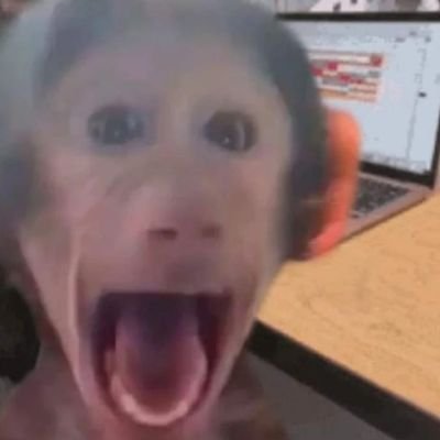 chlystek123's profile picture. noelo