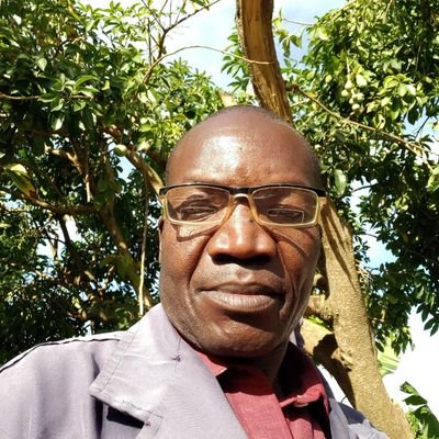 DominicMus71734's profile picture. 