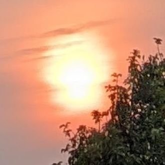 Yankel67179631's profile picture. 