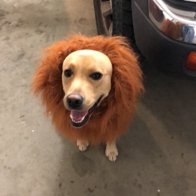 TylerMcClure69's profile picture. 