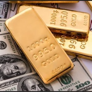 projectfan564's profile picture. 