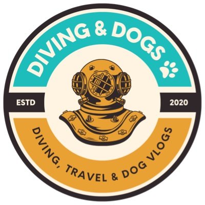 DivingandDogs Profile Picture
