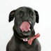 Erin Engellenner (@ezza_aus) Twitter profile photo Erin Engellenner (@ezza_aus) Twitter profile photo