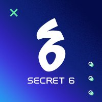 Secret 6(@secret6inc) 's Twitter Profile Photo