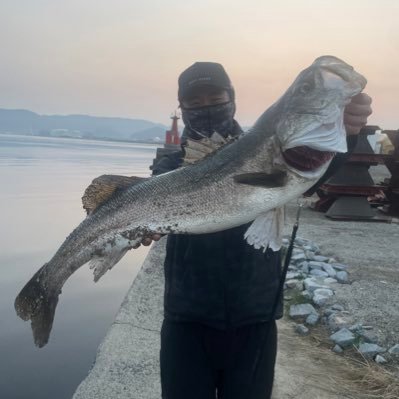 香川県でシーバスをメインにオフショアなど色々釣りしてます！この度Twitterを開設してみました🤡皆様よろしくお願いします！ ※無言フォローすみません🙇‍♀️