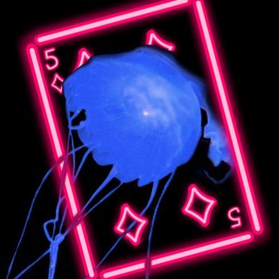 kurageさんのプロフィール画像