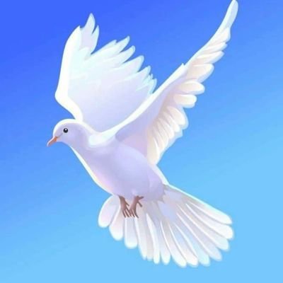 Abayhailu1's profile picture. 