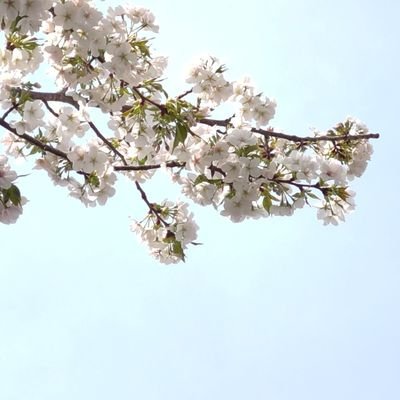 gbalii07's profile picture. 成人してます。これはmtp妄想(兼感想)メモ帳垢。
🌳家長男推し。ベッター：https://t.co/Vc33wCekkL、お題箱：https://t.co/McxwW04XU5
⚠ネタバレしかない壁打ち用で鍵開けたり閉めたりします、ブロックミュート推奨