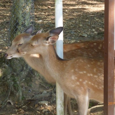 xosisbre0284's profile picture. TU 経営