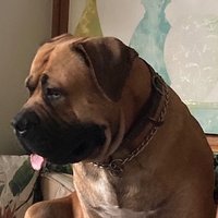 JonN (@jonn64x) 's Twitter Profile