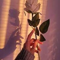 حجز سائق السفر والسياحة في شواطئ سنتوسا (@abd978shaima) 's Twitter Profile