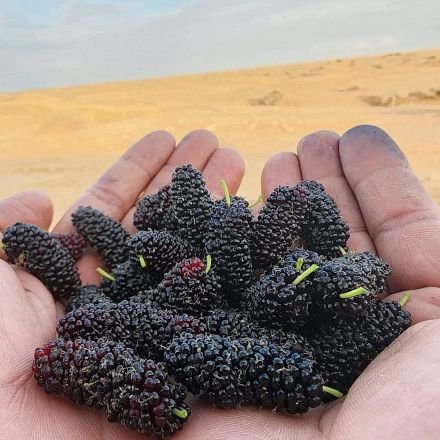 db8NEdcTXxMoRaI's profile picture. ذكر الله والصلاه على النبي صلى الله عليه وسلم