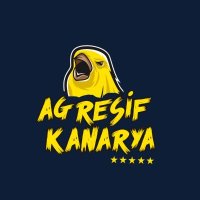 Agresif Kanarya! 🐤 FENERBAHÇE ULAN!(@KanaryaAgresif) 's Twitter Profile Photo