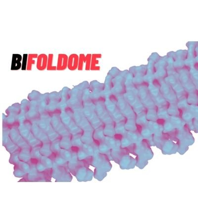 BiFOLDOME Profile Picture