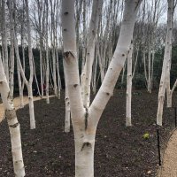 SecretConcerts (@secretconcertuk) 's Twitter Profile Photo