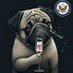 Pug social. (@pug_social_ins) Twitter profile photo