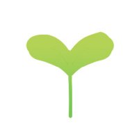 のこ (@noko8ooo) 's Twitter Profile Photo