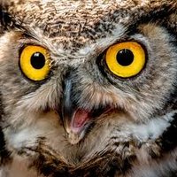 Ariel Ultra (@arielultra2023) 's Twitter Profile