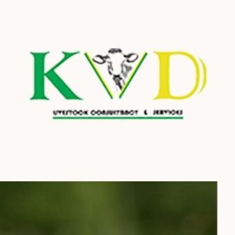 kvdconsultancy Profile Picture