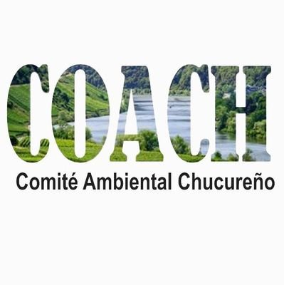 coambientalch's profile picture. 