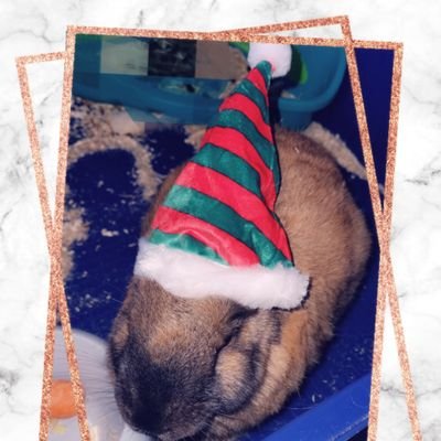 Sawmijagan25's profile picture. 