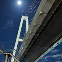 ジョニー (@robson_suzuki) Twitter profile photo