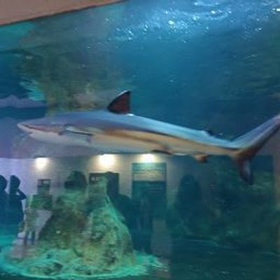 qWKDw2vbmX42289's profile picture. 