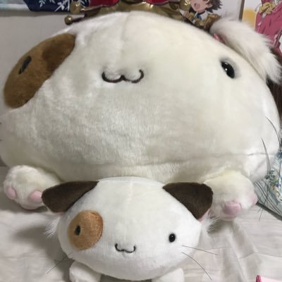 ⚓️はるいろ積み太郎🎀🐾さんのプロフィール画像