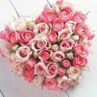 ❀.。.:*Mai*..:*♡✧*。 (@maihayashi5) 's Twitter Profile