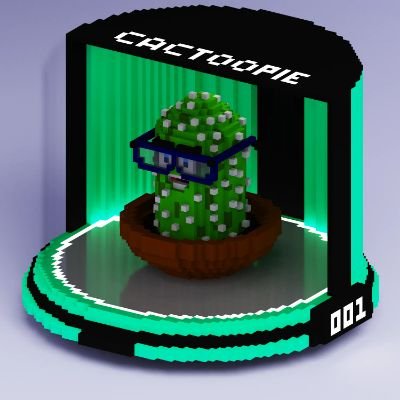 OfalCactoopies's profile picture. Hi everyone!

I am a new creator in the world of NFT, I come to you with something completely new and simple! oh this is 

Cactoopies!!
