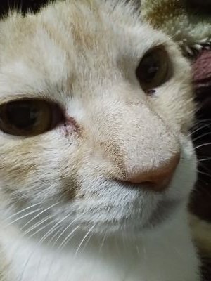 otukun020202's profile picture. 