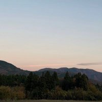 Lily (@ivory__diary) 's Twitter Profile