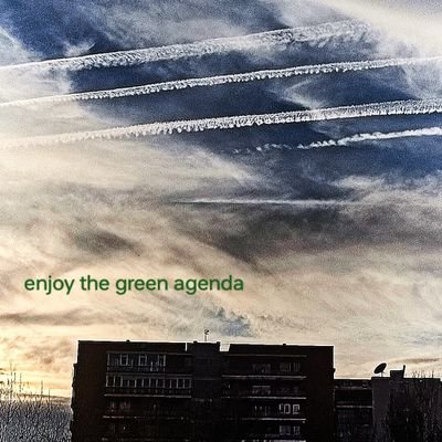 StopGeoEngNow's profile picture. The issue , for me, that clouds over  and envelops all, is a decades long form of nanoparticulate warfare upon every living creature on the planet.