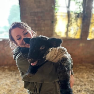 sheep farmer, always looking for a farm, always looking for an opportunity . insta: grafton_flock