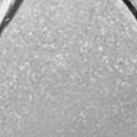 Fuzzy J Profile