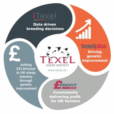 Supporting the Society's 2300 members in genetic improvement and promotion of British Texel Sheep. Adding value to commercial sheep businesses Search https://t.co/VDtMk4Od0h