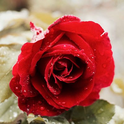 K348652's profile picture. 