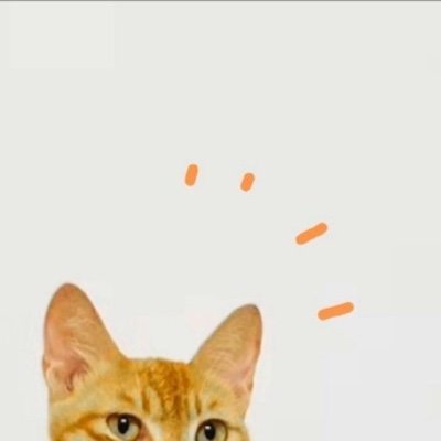 「辺原」さんのプロフィール画像