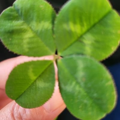 JK92012936's profile picture. JK