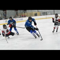 Colt Hassler (@colt_hassler) 's Twitter Profile