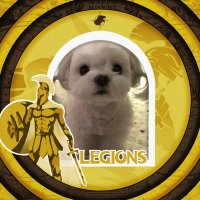 LEGIONSSWAAAA (@labscil) 's Twitter Profile